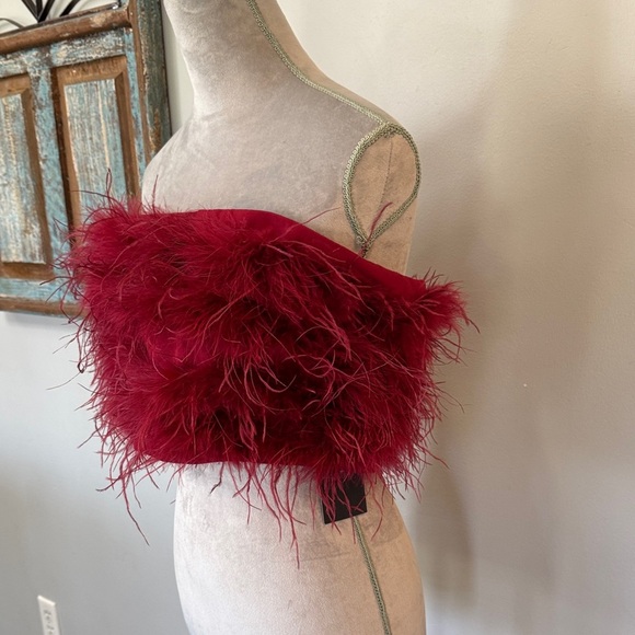 Magnolia Red Feathered Tube Top - Picture 3 of 13